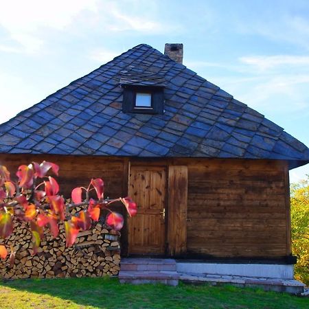 Cabin Menka Sirogojno Екстер'єр фото